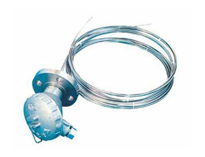 ���c(di��n)�������ż